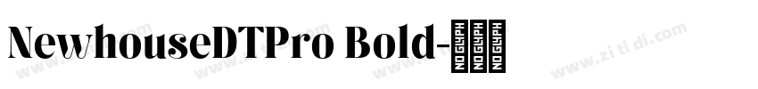 NewhouseDTPro Bold字体转换